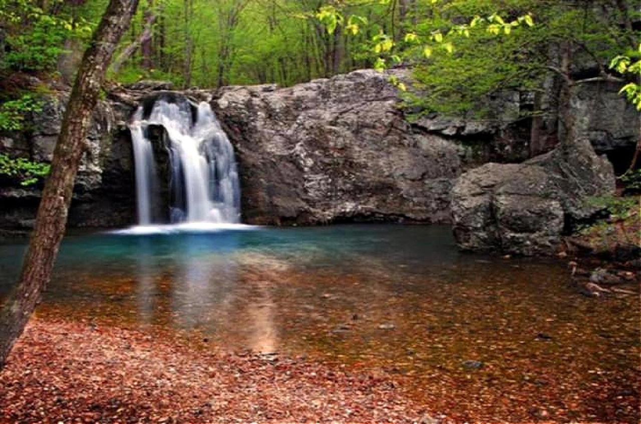 Secluded Home With Mini Waterfall And A Creek In Hot Springs Exteriör bild